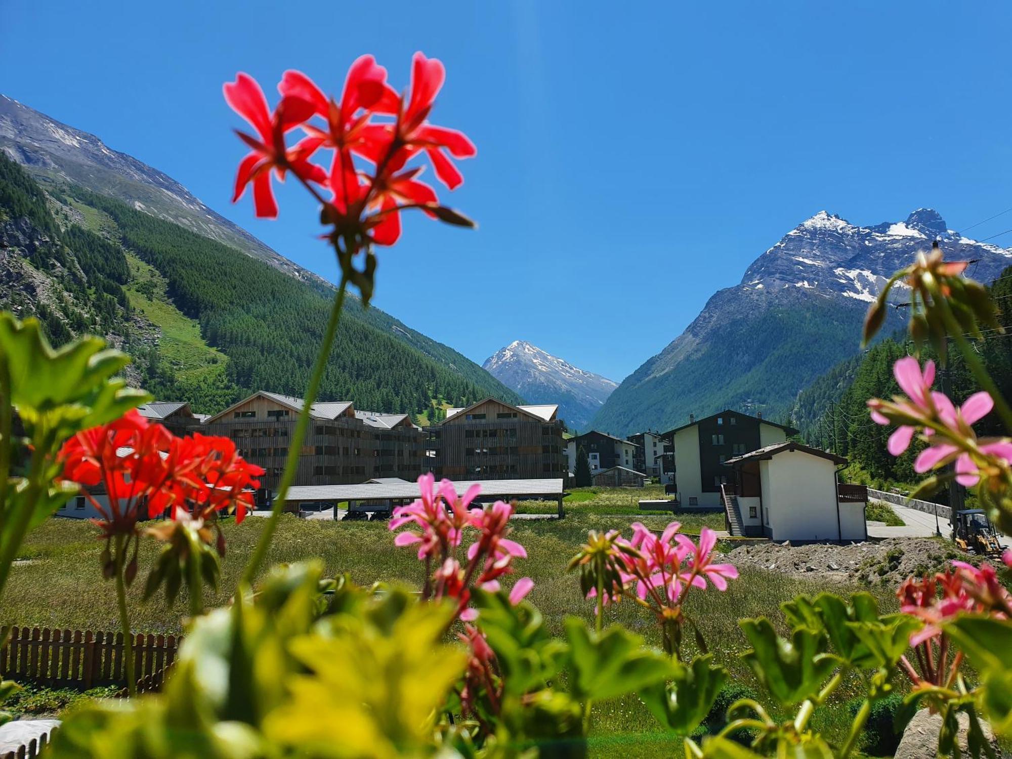 Haus Artemis Apartment Saas-Grund Bagian luar foto